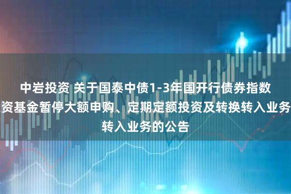 中岩投资 关于国泰中债1-3年国开行债券指数证券投资基金暂停大额申购、定期定额投资及转换转入业务的公告