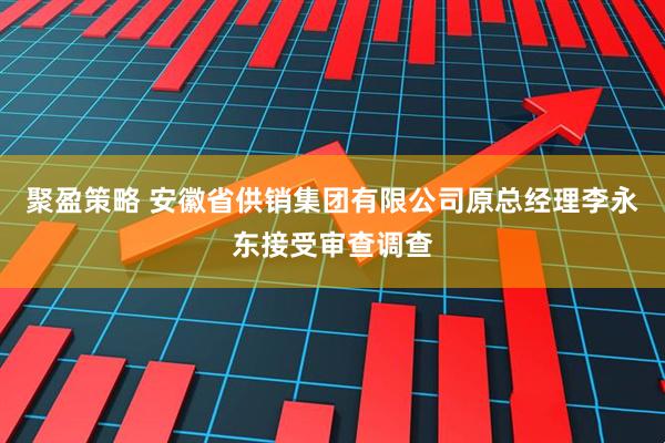 聚盈策略 安徽省供销集团有限公司原总经理李永东接受审查调查