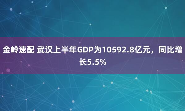 金岭速配 武汉上半年GDP为10592.8亿元，同比增长5.5%