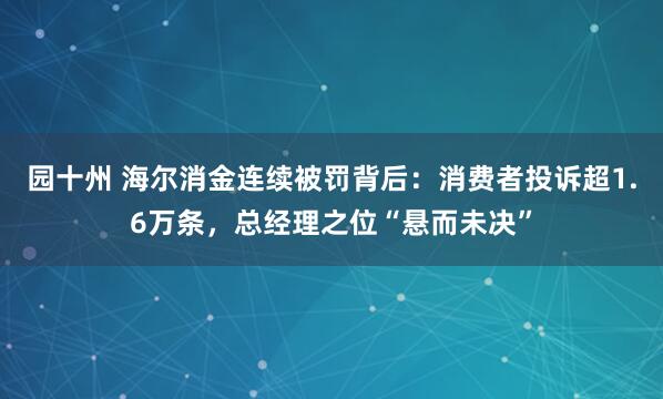园十州 海尔消金连续被罚背后：消费者投诉超1.6万条，总经理之位“悬而未决”