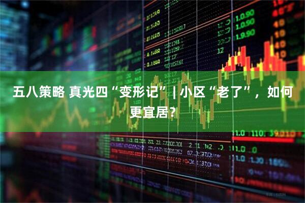 五八策略 真光四“变形记” | 小区“老了”，如何更宜居？