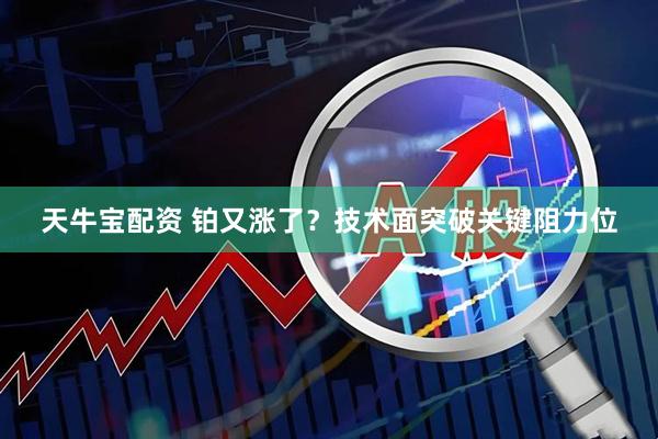 天牛宝配资 铂又涨了?技术面突破关键阻力位