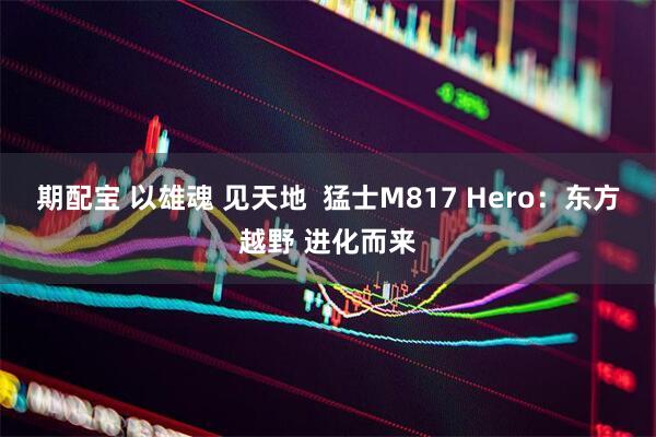 期配宝 以雄魂 见天地  猛士M817 Hero：东方越野 进化而来